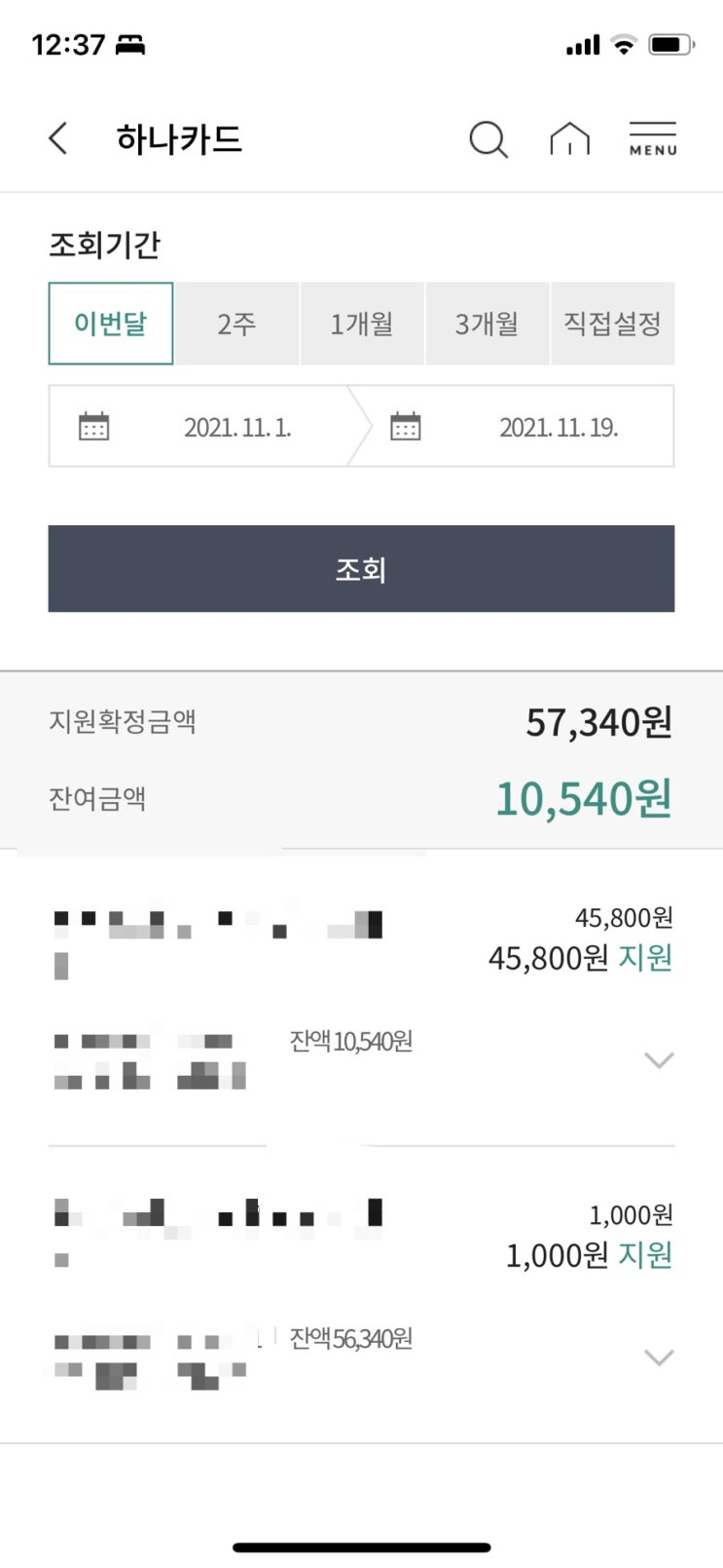  상생소비지원금 사용방법 하루만에 다 쓴 후기 하나카드