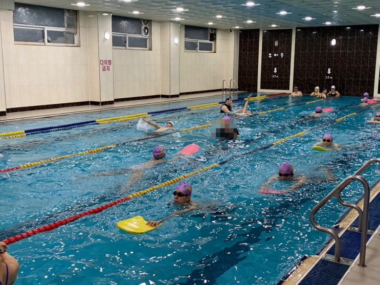 일산산들수영장 일산어린이성인수업가능 수영장추천! 일산산들수영장 일산어린이성인수업가능 수영장추천!