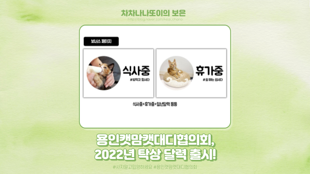  용인캣맘캣대디협의회 기부도 하고 2022년 탁상 달력도 받으세요!
