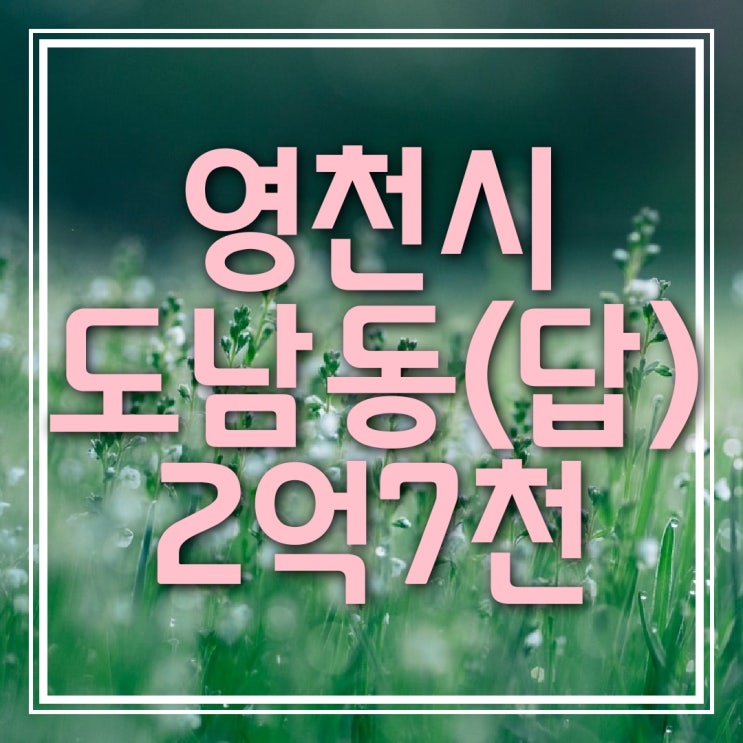  경북 영천시 도남동(동승병원 근처) 논 (답) 매매 (2억7천, 위치좋음  도로접함)