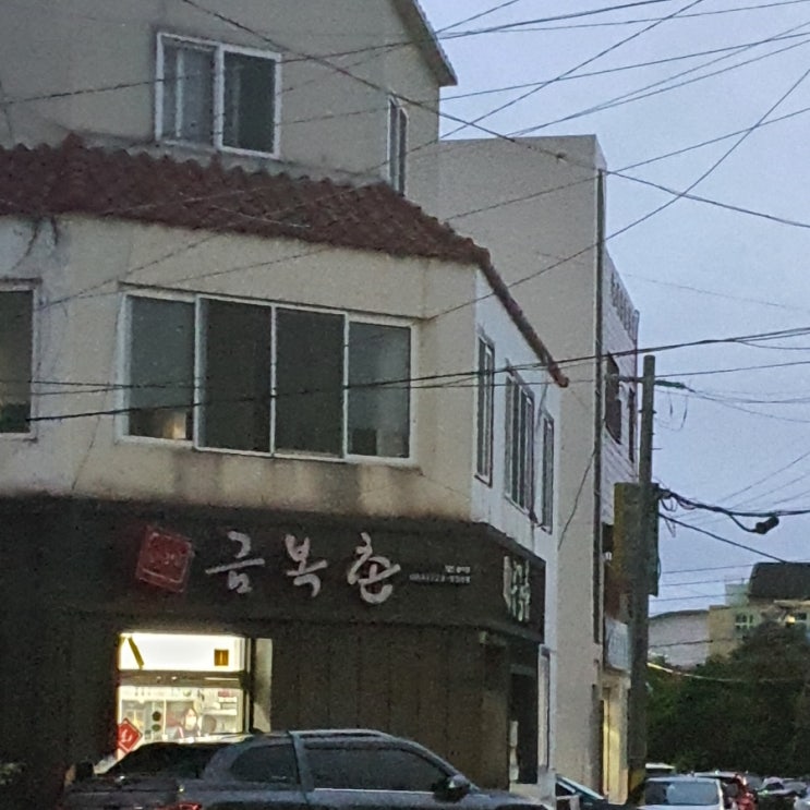  [제주도맛집] 벌써 두번째 다녀온 제주도민 횟집 "금복촌" 에서 회로 배 채우기