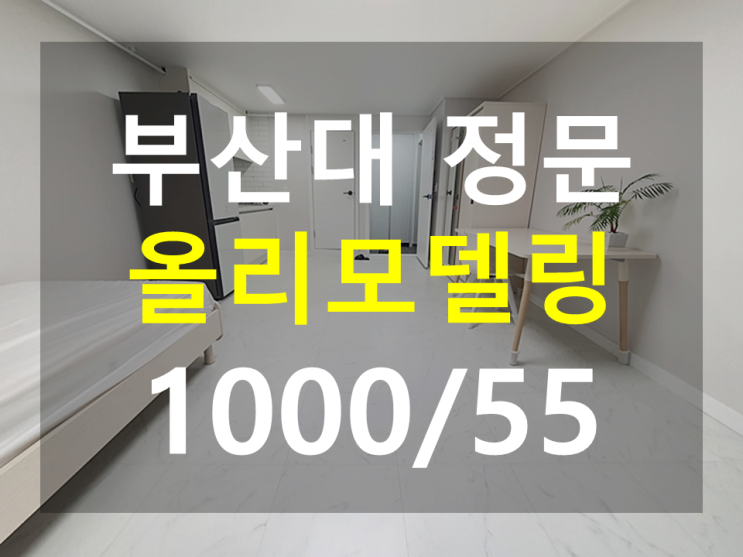  부산대원룸 : 올리모델링 추천원룸 화이트톤 가전제품새것 남향 풀옵션 정문인근