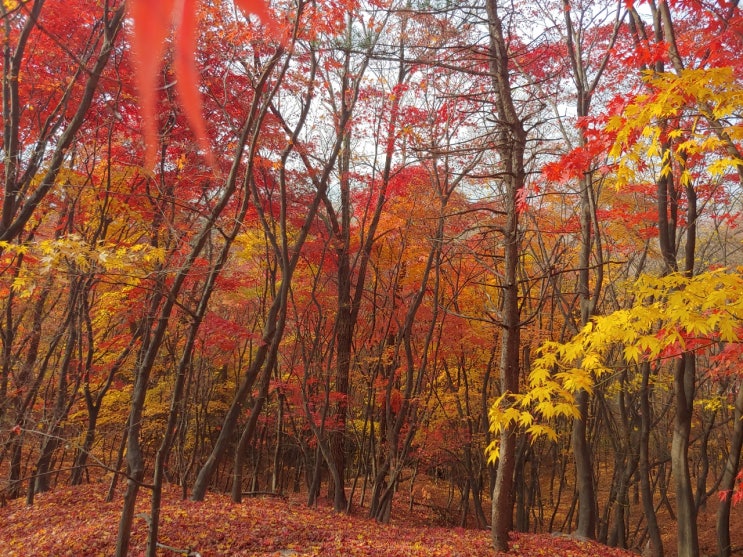 &lt;가을 여행&gt; 아름다운 한양도성 백악구간을  걷다