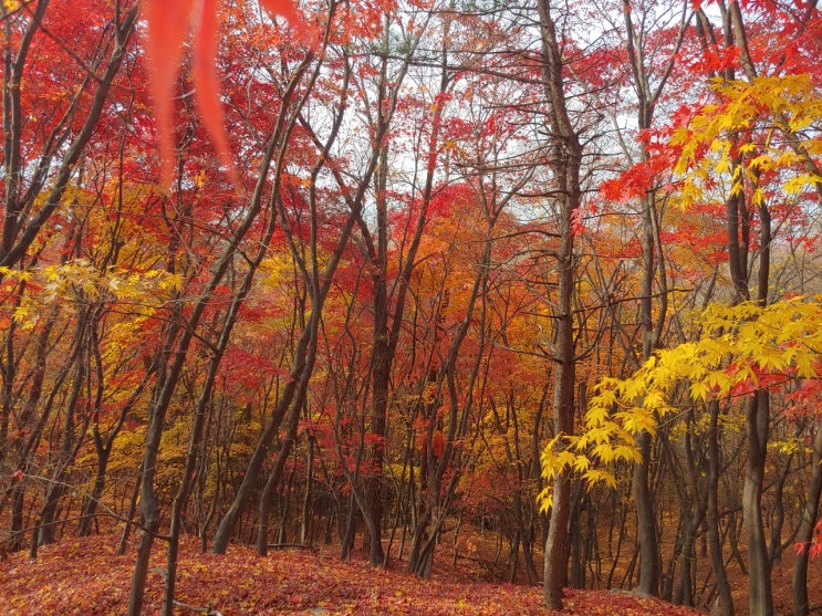 <가을 여행> 아름다운 한양도성 백악구간을 걷다 <가을 여행> 아름다운 한양도성 백악구간을 걷다