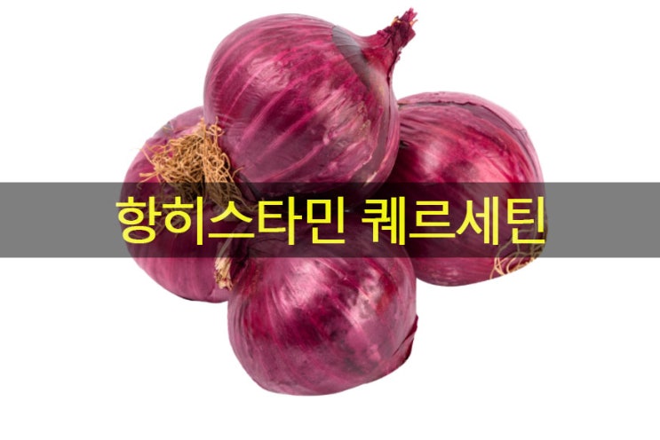 퀘르세틴 효능 중 항히스타민, 장 누수 증후군, 저탄고지