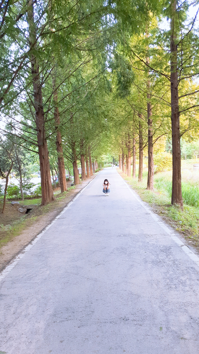 숲 길을 걷고 싶은 날에는, 서울근교 당일치기에 좋은 오산 물향기수목원