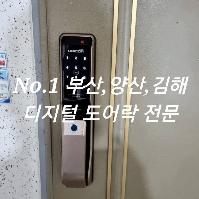 부산 반여동 아시아 선수촌 아파트 지문 푸시풀 도어락(리모컨 추가) 디지털 번호키 설치했어요