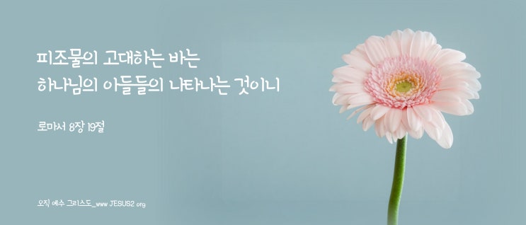 마태복음 2장 14절 마태복음 2장 14절