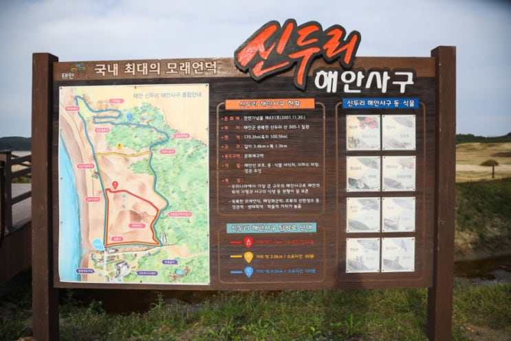  주말 여행 추천 - 생태계 보존지역 태안 신두리해안사구