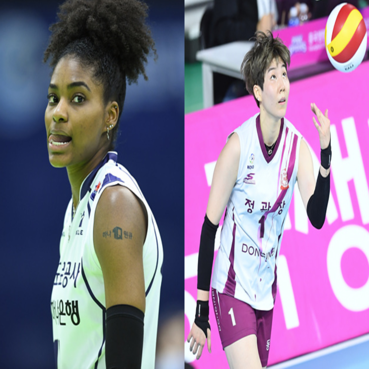 여자배구 도로공사 인삼공사 11월21일 경기예상(켈시 박정아 이예림 이소영 옐레나 한송이)