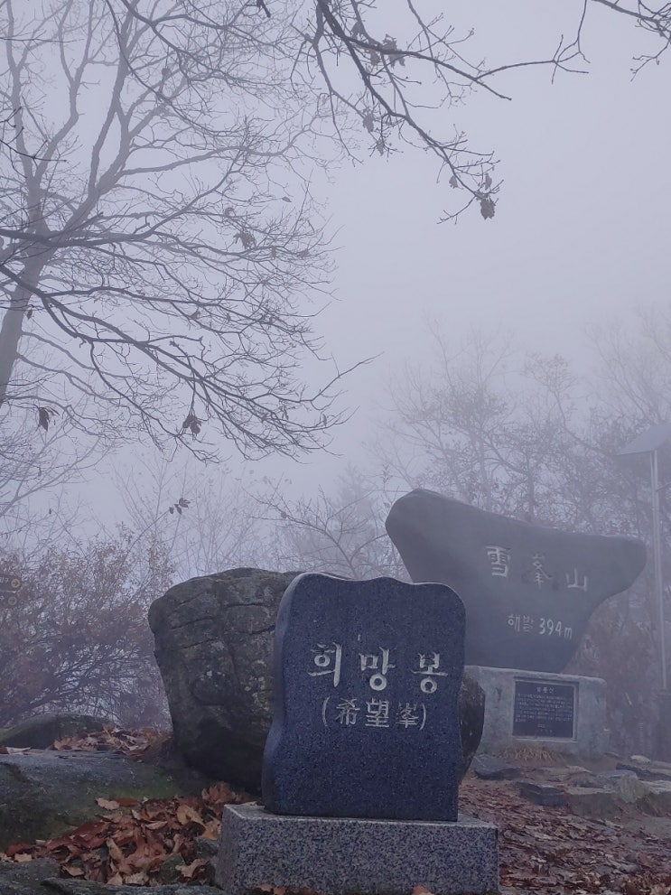 안개에 묻힌 오늘 아침 설봉산