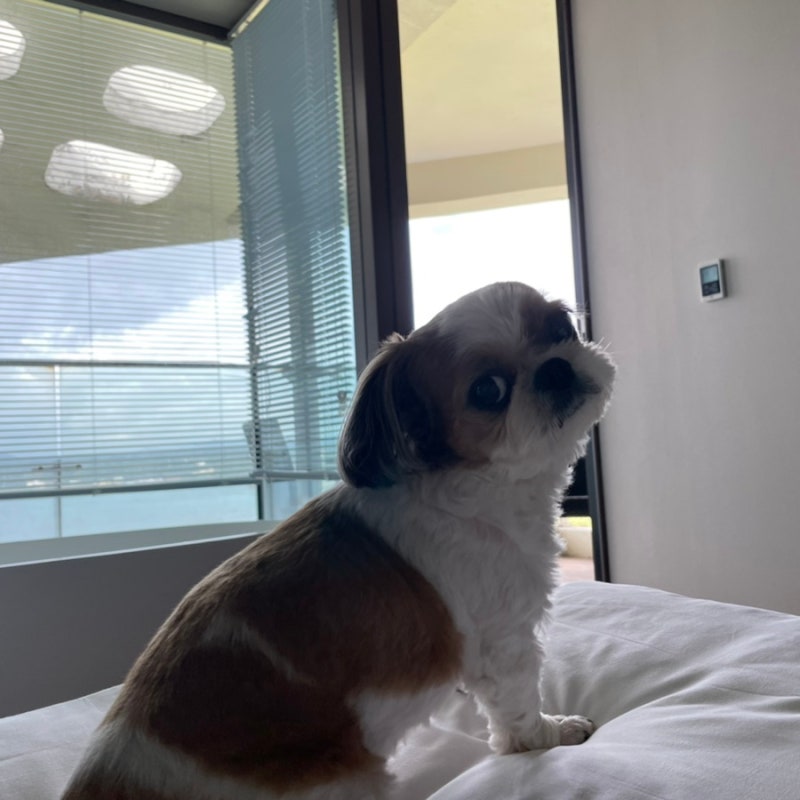 사진 2