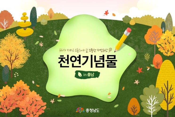 충남 가볼만한곳 우리가 지키고 보존해야 할 소중한 자연유산 천연기념물 in 충남 | 충남도청페이스북
