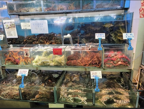 [홍콩 여행] 라마섬 하이킹 및 레인보우 레스토랑 방문기