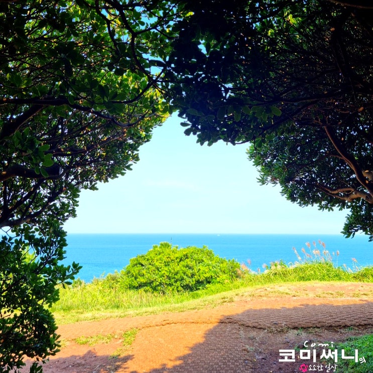 제주공항 근처 볼거리 도두봉 키세스존과 도두동 무지개 해안도로(주차와 소요시간): 제주 마지막 날 여행 코스 추천!