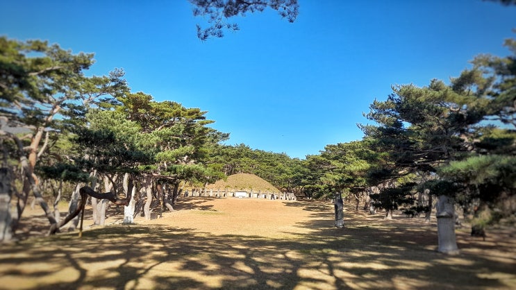 경주에서 가볼만한 멋진 신라 왕릉인 흥덕왕릉