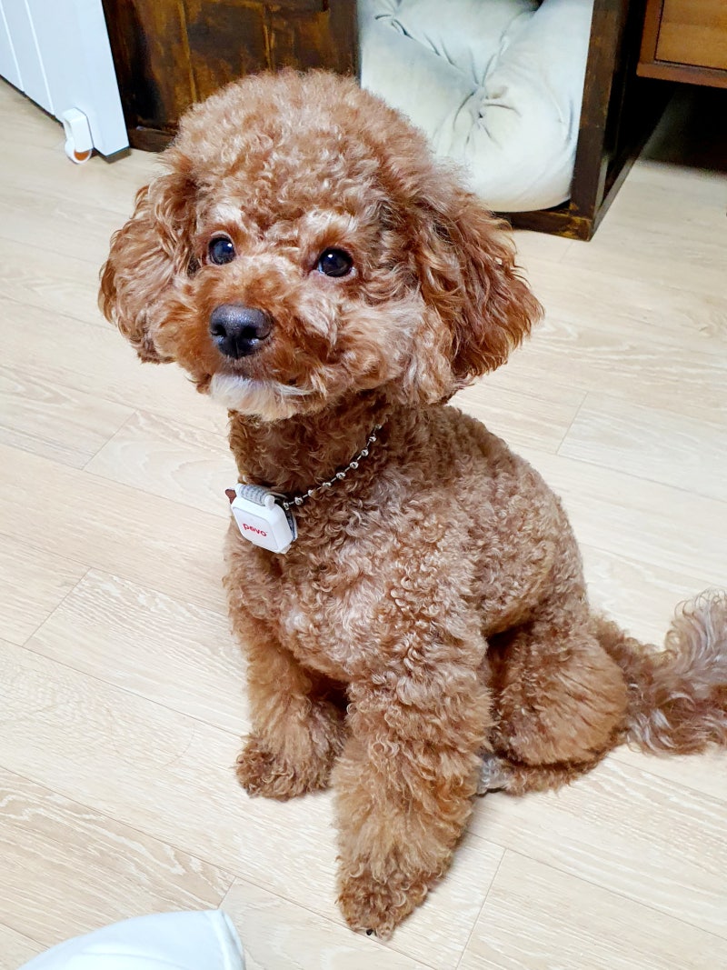 사진 5