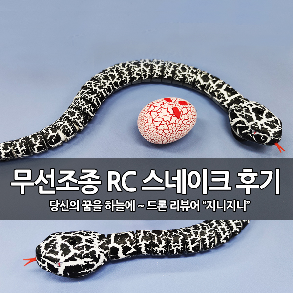 무선 조종 RC 스네이크 (RC 뱀 장난감) 개봉 후기 무선 조종 RC 스네이크 (RC 뱀 장난감) 개봉 후기