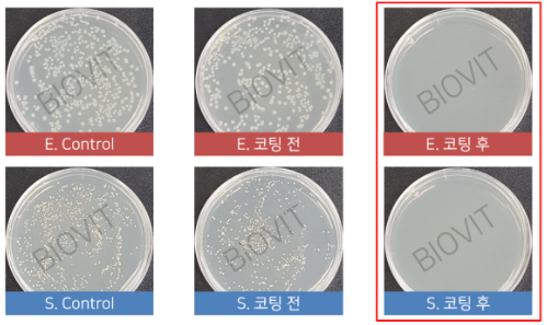 바이오빛 항균 펩타이드를 이용한 항균코팅시험 - 황생포도상구균, 대장균 항균실험