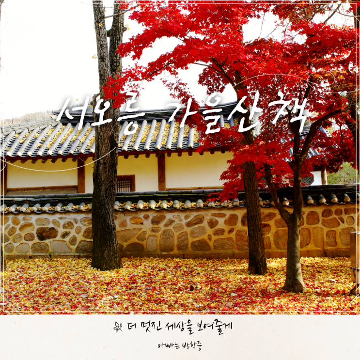 고양 서오릉 세계유산 조선왕릉에서 즐긴 가을 산책 고양 서오릉 세계유산 조선왕릉에서 즐긴 가을 산책