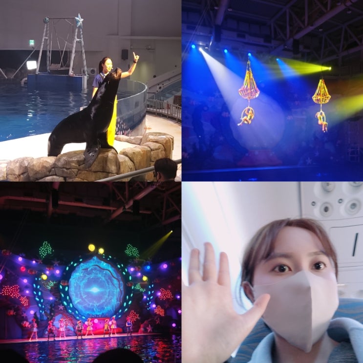  가족끼리 떠난 제주 동쪽여행 마지막 3일차!/제주아쿠아플라넷/미구엘슈발리에전시회/고기국수