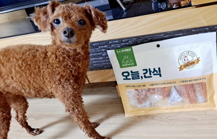  강아지 간식 추천) 로얄펫라이프 오늘, 간식  기호성 최고예요