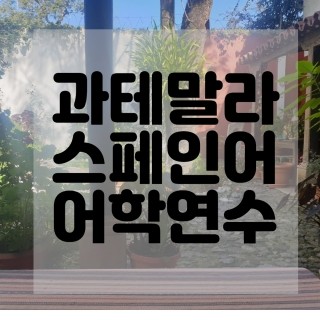  스페인어 배운지 4개월
