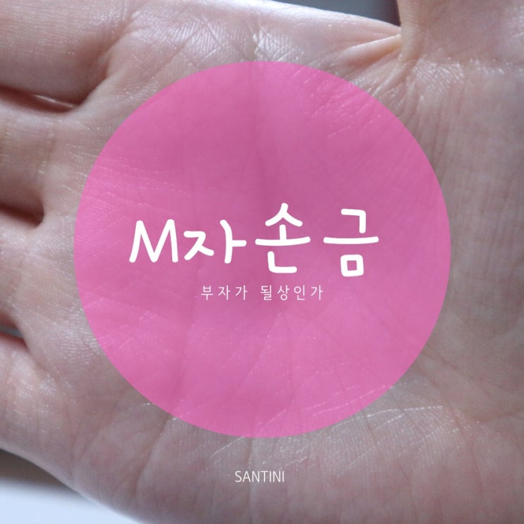 M자 손금 부자손금 진짜 ? M자 손금 부자손금 진짜 ?