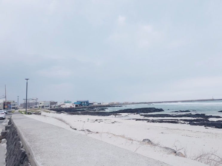  [제주도] 제주도 여행 / 맛집 / 놀거리 / 재밌었던 여행 흔적 1탄