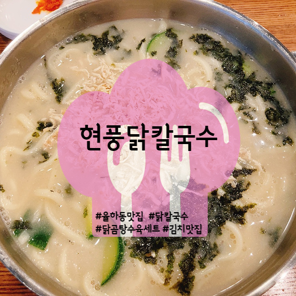  [대구/동구] 율하동 맛집 현풍 닭칼국수