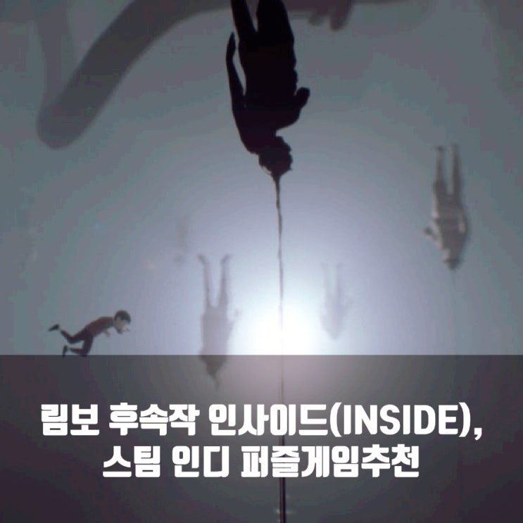인사이드, 스팀인디(PC) 퍼즐게임 추천 인사이드, 스팀인디(PC) 퍼즐게임 추천