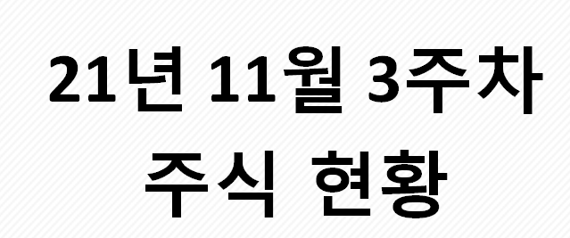  21년 11월 3주 차 주식 수익 현황