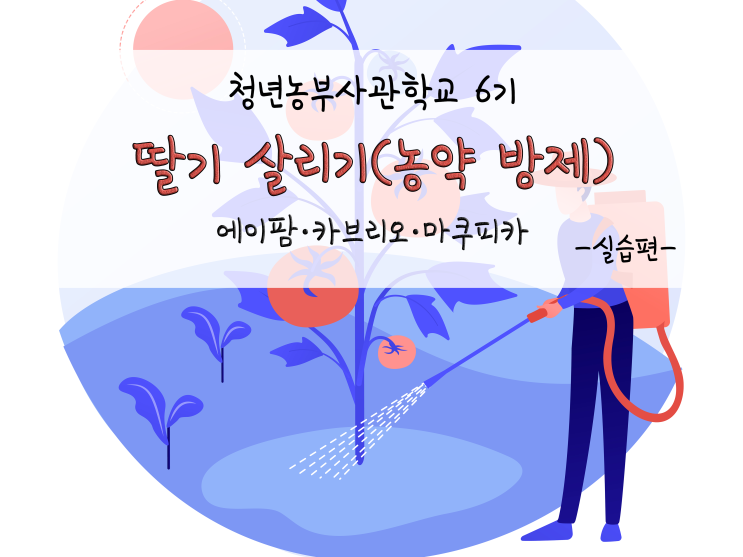 딸기 살리기(농약 방제)_금요일 생육실습_211119
