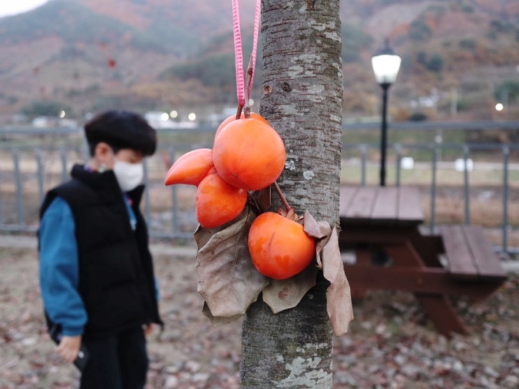  지리산가족펜션 자락애펜션 산청펜션 추천