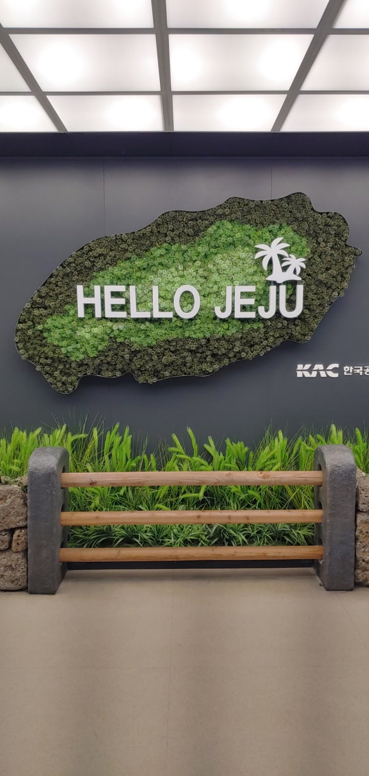  제주한달살이 중 육지방문기