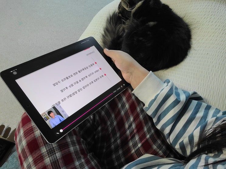  부동산스터디 메디테라 온라인클래스로 고민 끝