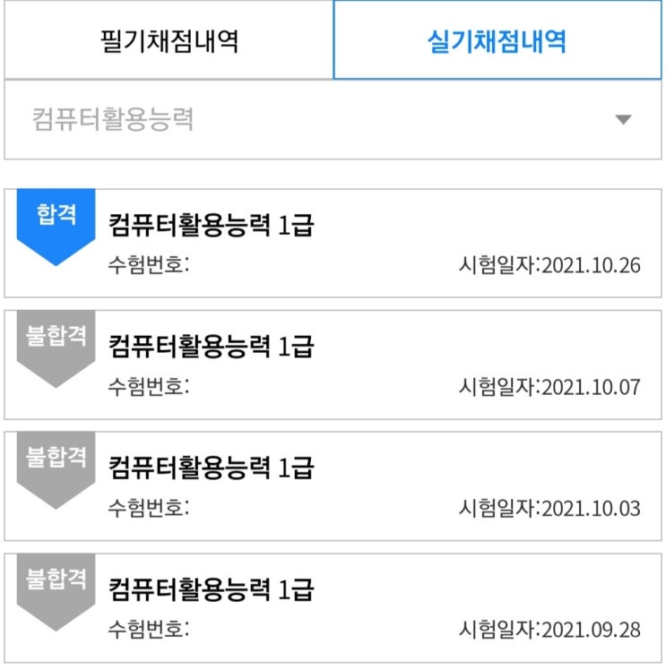 4수생의 현실적인 컴활 1급 합격 후기 (공부 방법, 버릴문제, 배점, 시간배분, 시험 전 설정)