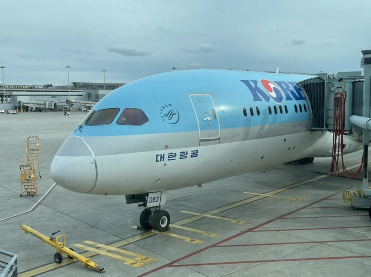  토론토 피어슨공항(YYZ) 상황 - 한국으로 출국