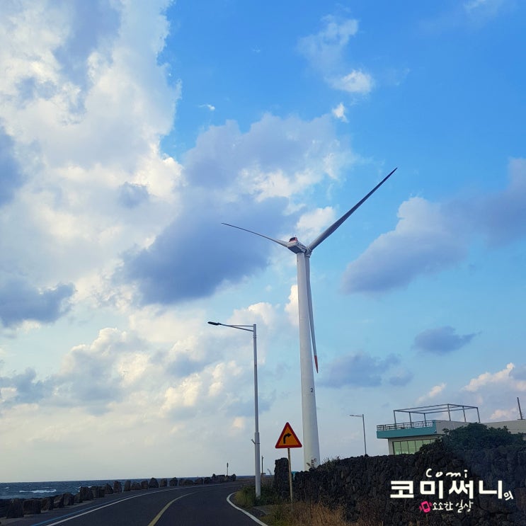 제주 신창풍차해안도로 드라이브: 제주여행 5일차 코스 제주 신창풍차해안도로 드라이브: 제주여행 5일차 코스