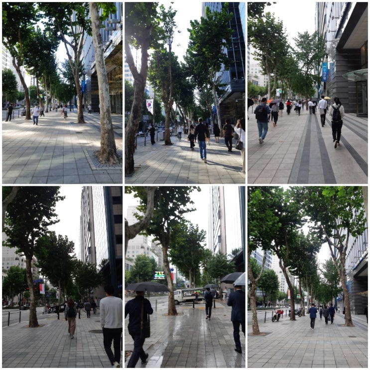  [세무사수습] 2021 세무사 실무교육 끝 & 근무세무사 시작 (#수료식간소화 #진로고민 #소중한동기)