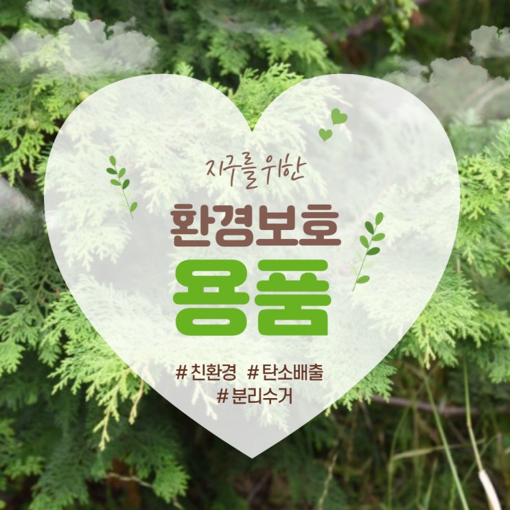 [환경 보호 및 정책 이슈] 지구를 위한 환경보호 용품