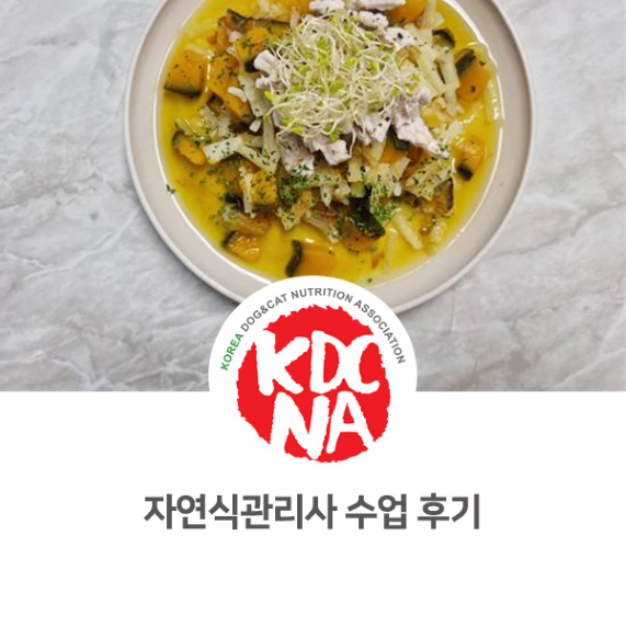  한국반려동물영양협회 익산지부 반려동물 자연식 관리사 dog 실습 과정 [정유경펫영양사/오간식익산점/나의반려/펫푸드자격증/강아지화식/군산/익산/김제/정읍/남원]_922