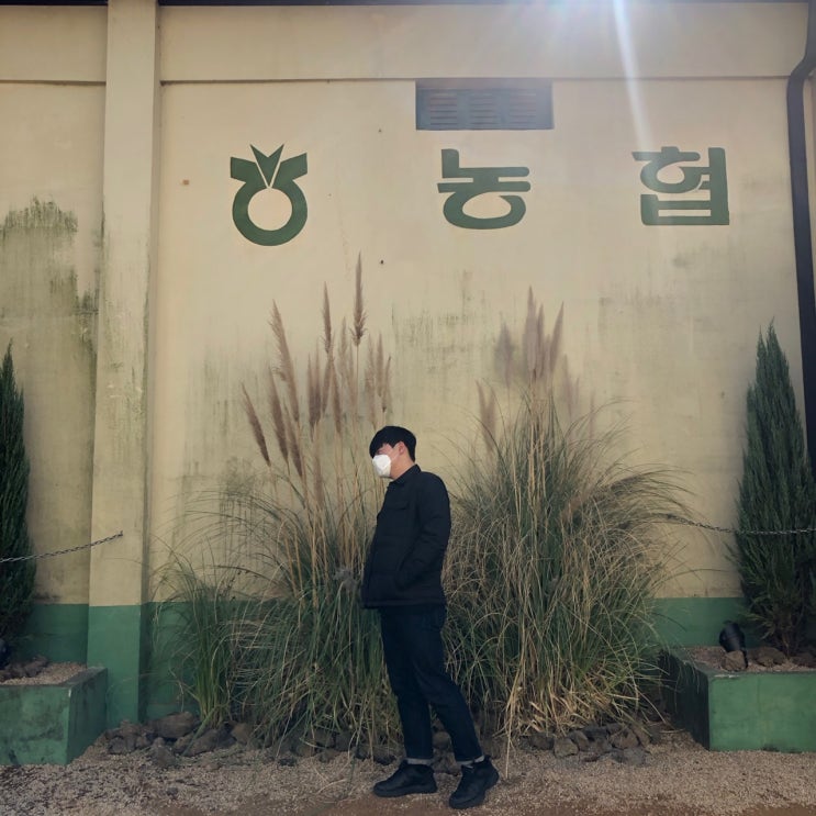  거제 고현 신상 카페, 짹짹커피! 고즈넉한 분위기에 새들도 몰려드는 거제 카페!