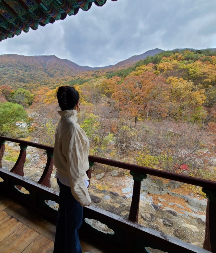  밀양표충사 단풍이 예쁜곳  밀양가볼만한곳
