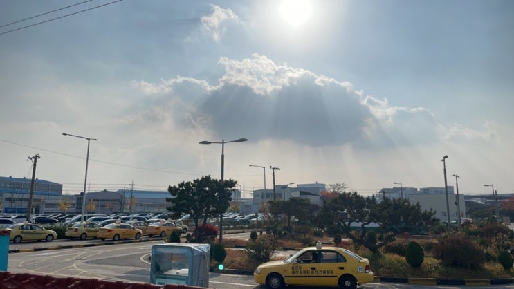  제 기능 점수는요 ...