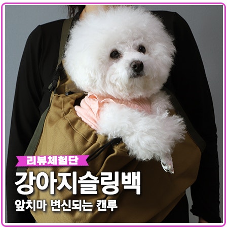 강아지 캐리어 캔루 앞치마 변신되는 슬링백 강아지 캐리어 캔루 앞치마 변신되는 슬링백