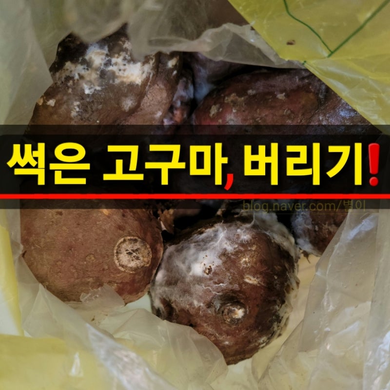 고구마 버리는법 썩은것 껍질도 음식물쓰레기로 버리기 : 네이버 블로그 고구마 버리는법 썩은것 껍질도 음식물쓰레기로 버리기 : 네이버 블로그