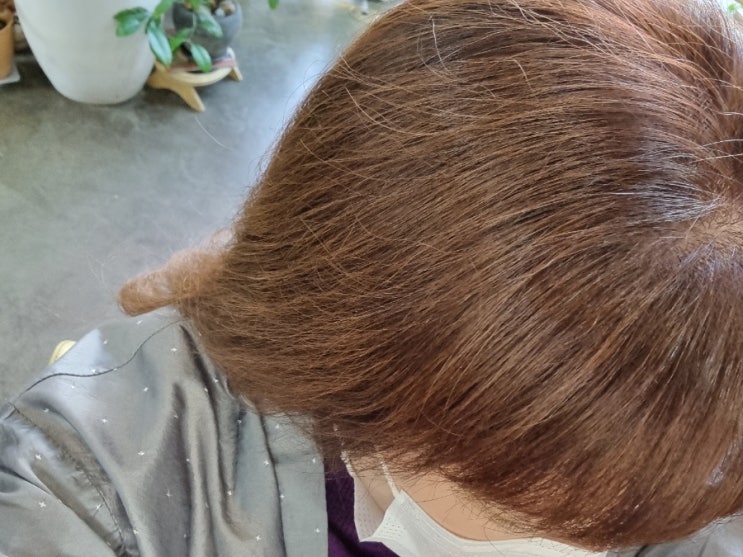  홍대/합정역/서교동-흰머리/새치/임산부염색/클리닉  천연염색/뿌리염색 잘하는곳 "헤어블러썸"
