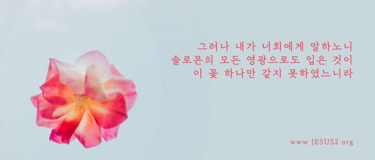 마태복음 2장 15절