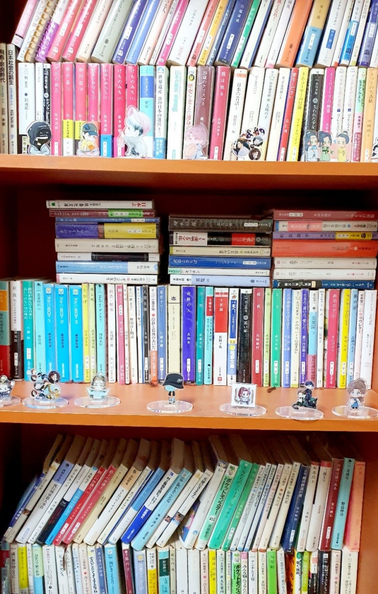  EBS 중급중국어 11월 7과<小说소설>Sadaは文庫本読むのが大大大好き！！！！！！！！！！！